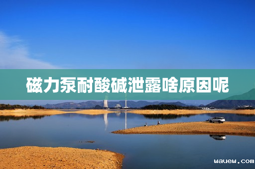 磁力泵耐酸碱泄露啥原因呢