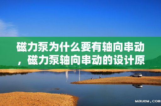 磁力泵为什么要有轴向串动，磁力泵轴向串动的设计原因及作用