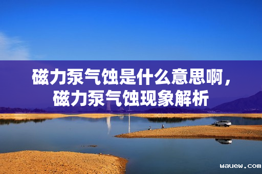 磁力泵气蚀是什么意思啊，磁力泵气蚀现象解析