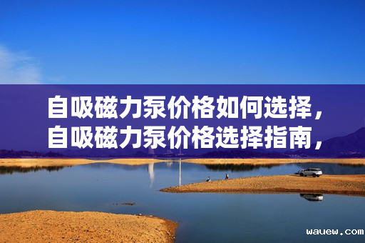 自吸磁力泵价格如何选择，自吸磁力泵价格选择指南，如何找到性价比高的产品