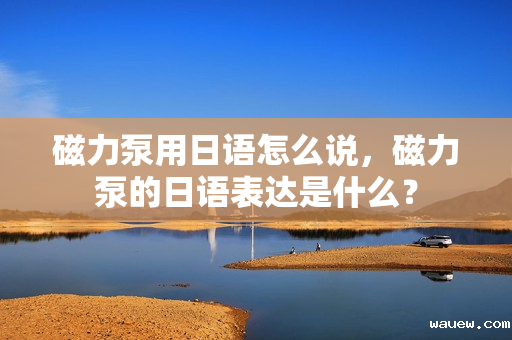 磁力泵用日语怎么说，磁力泵的日语表达是什么？