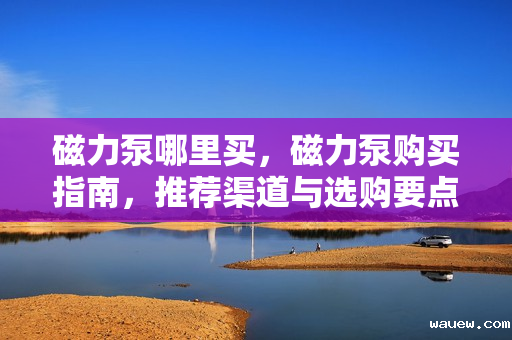 磁力泵哪里买，磁力泵购买指南，推荐渠道与选购要点