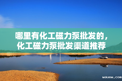 哪里有化工磁力泵批发的，化工磁力泵批发渠道推荐