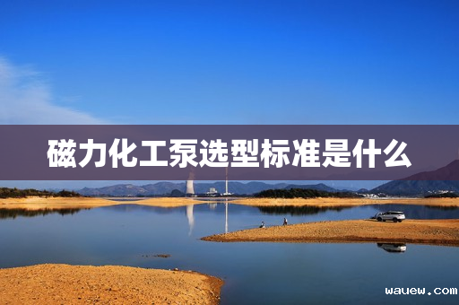 磁力化工泵选型标准是什么