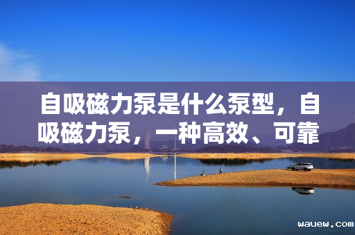 自吸磁力泵是什么泵型，自吸磁力泵，一种高效、可靠的泵型介绍