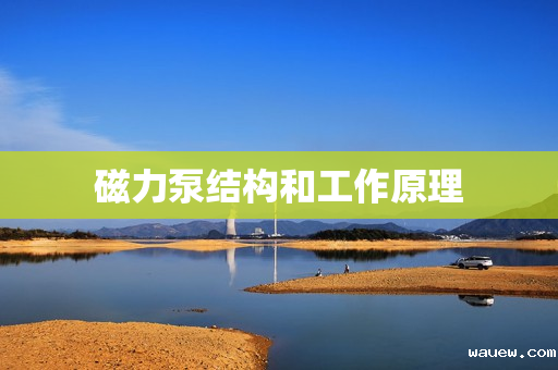 磁力泵结构和工作原理