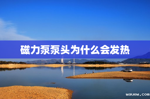 磁力泵泵头为什么会发热