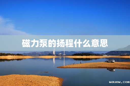 磁力泵的扬程什么意思