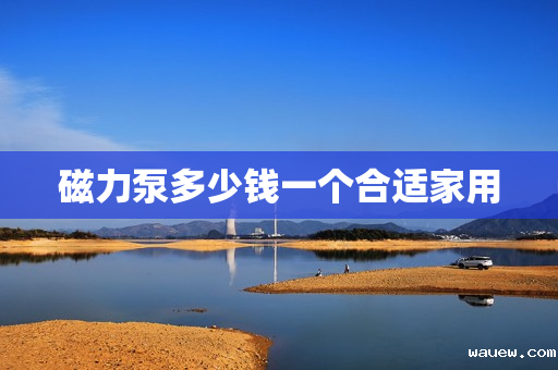 磁力泵多少钱一个合适家用