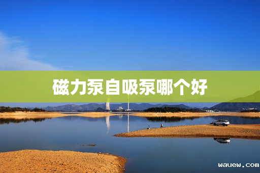 磁力泵自吸泵哪个好