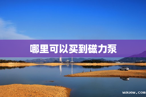 哪里可以买到磁力泵