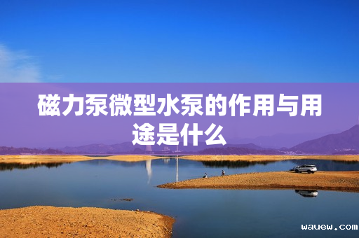 磁力泵微型水泵的作用与用途是什么