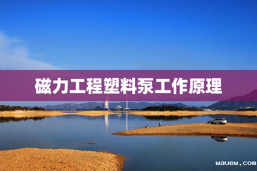 磁力工程塑料泵工作原理