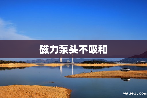 磁力泵头不吸和