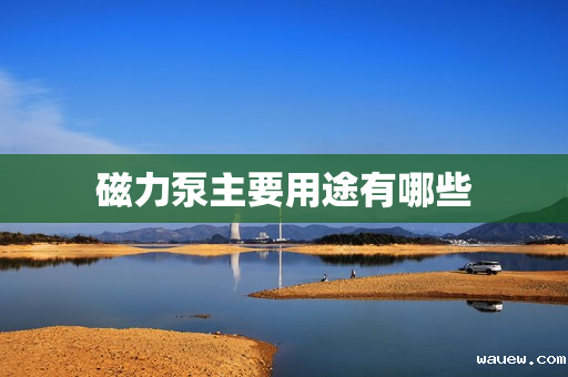 磁力泵主要用途有哪些