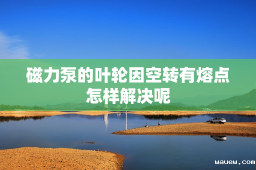 磁力泵的叶轮因空转有熔点怎样解决呢