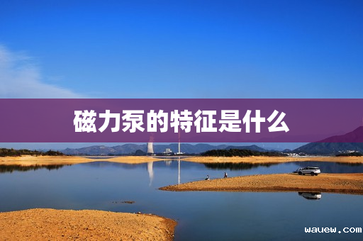 磁力泵的特征是什么