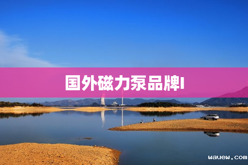 国外磁力泵品牌I