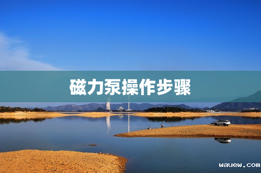 磁力泵操作步骤