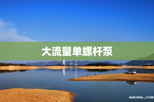 大流量单螺杆泵