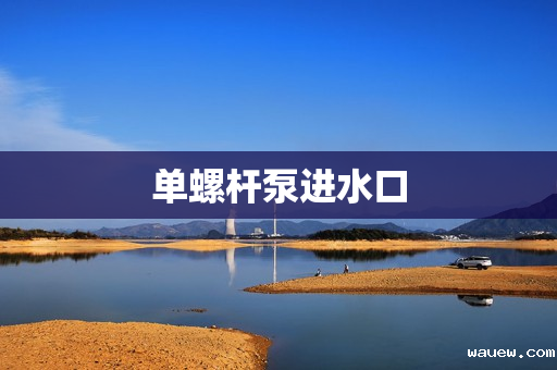 单螺杆泵进水口