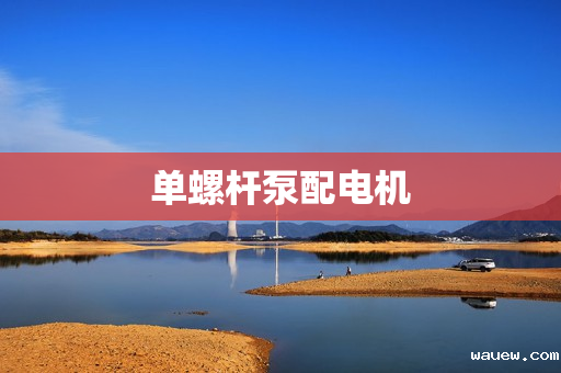 单螺杆泵配电机