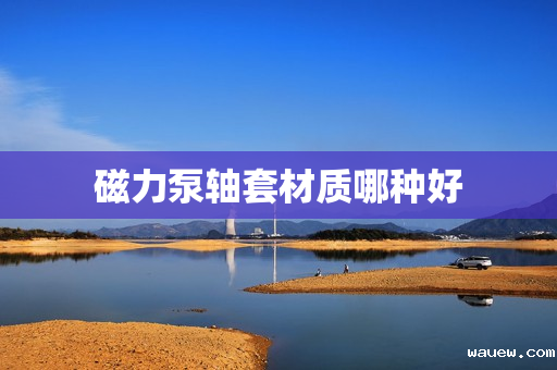 磁力泵轴套材质哪种好