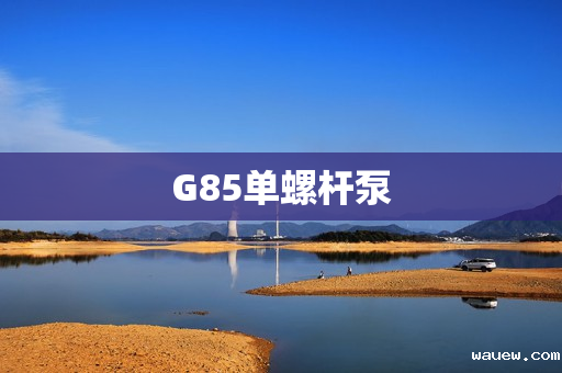 G85单螺杆泵