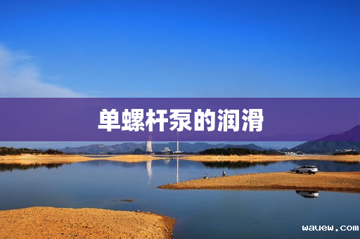 单螺杆泵的润滑