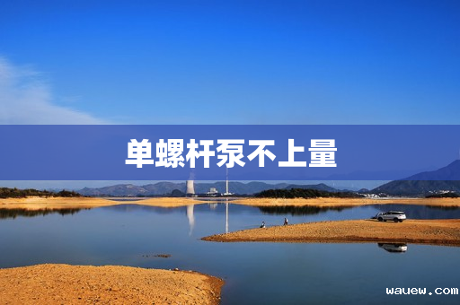 单螺杆泵不上量