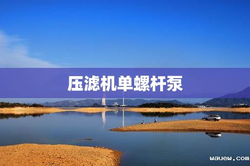 压滤机单螺杆泵