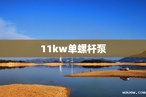 11kw单螺杆泵
