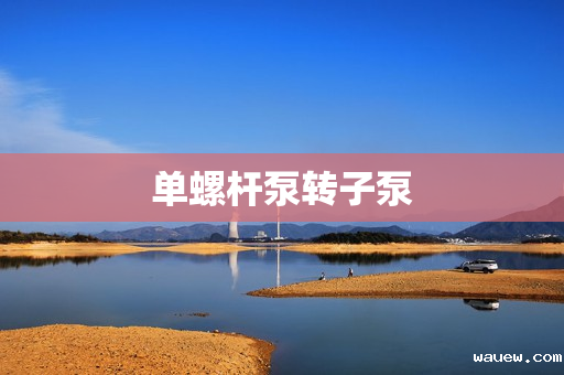 单螺杆泵转子泵