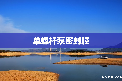 单螺杆泵密封腔