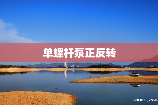 单螺杆泵正反转