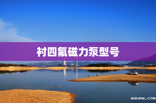 衬四氟磁力泵型号