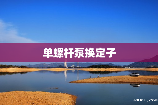 单螺杆泵换定子