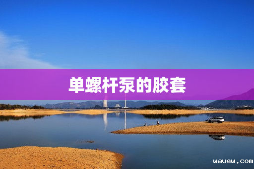 单螺杆泵的胶套