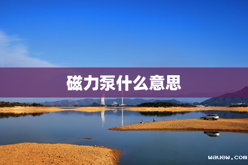 磁力泵什么意思