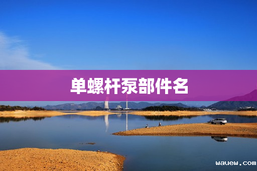 单螺杆泵部件名