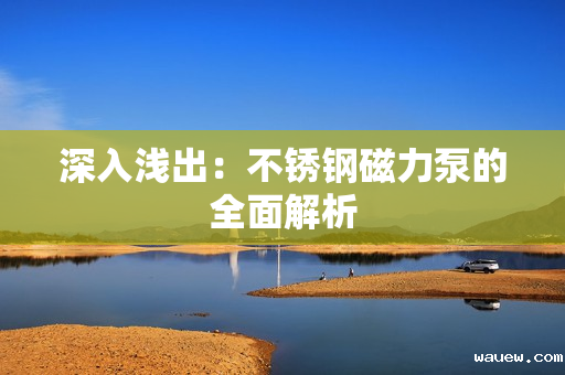 深入浅出：不锈钢磁力泵的全面解析