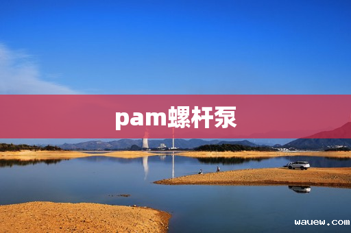 pam螺杆泵