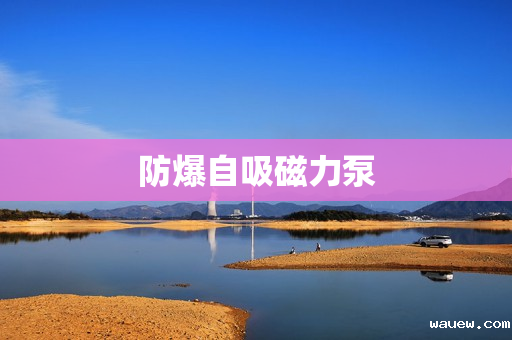 防爆自吸磁力泵