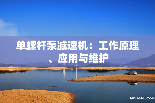 单螺杆泵减速机：工作原理、应用与维护