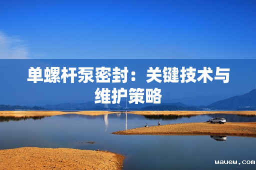 单螺杆泵密封：关键技术与维护策略