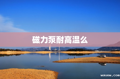 磁力泵耐高温么