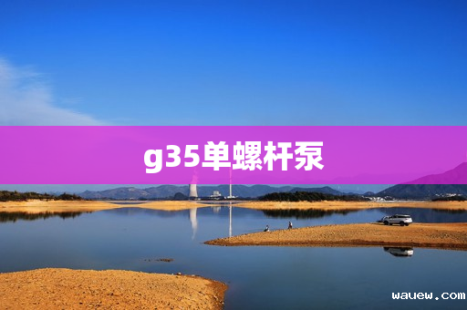 g35单螺杆泵