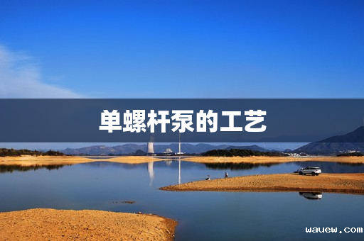 单螺杆泵的工艺