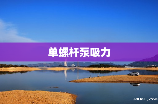 单螺杆泵吸力