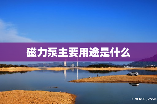 磁力泵主要用途是什么